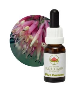 Five Corners, 15 ml